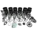 KIT OVERHAUL ISC (PISTON 5294889)