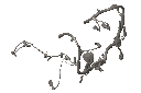 ARNES ISD 6.7 YUTONG (5253026) R