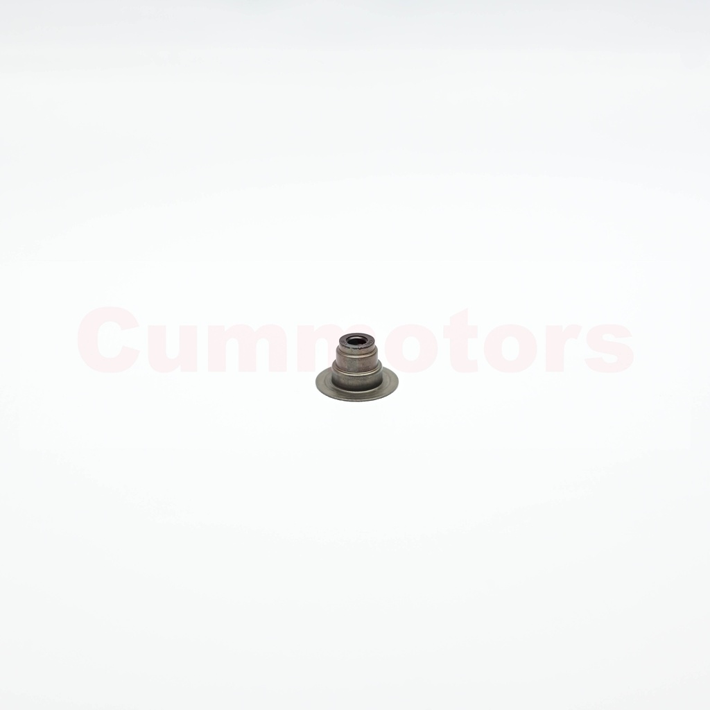 RETEN DE VALVULA ISC