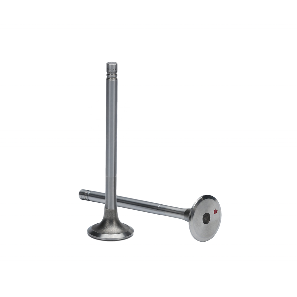 VALVULA DE ESCAPE NT855 (3803519)