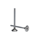 VALVULA DE ESCAPE NT855 (3803519)