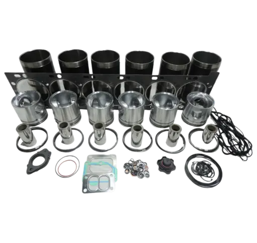 [526346000] KIT OVERHAUL ISC (PISTON 5294889)