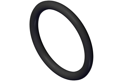 [320156200] O RING