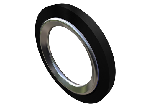 [493427800] ORINGS