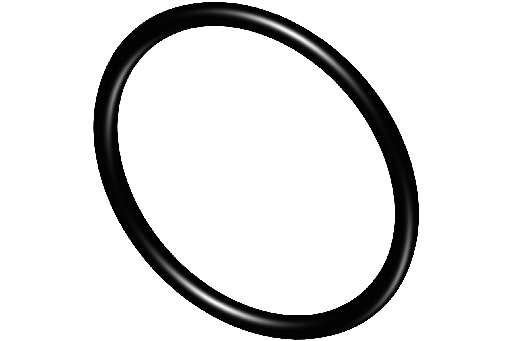 [307396600] ORING